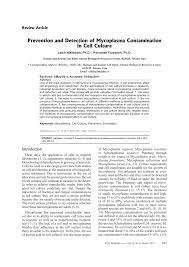 A nerve cell, for example, looks very different. Pdf Prevention And Detection Of Mycoplasma Contamination In Cell Culture