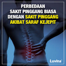Pengapuran tulang merupakan salah satu penyakit pada tulang di mana terdapat penumpukan pengapuran tulang ini dapat mempengaruhi kerja setiap sendi, seperti sendi lutut, pinggul dan. Tulang Punggung Luvina