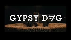 Find Directors of Photography For Hire