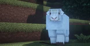 The new textures look like. Overgrowth Resource Pack 1 17 1 16 Texture Packs