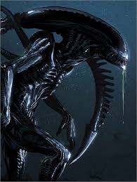 A highly aggressive extraterrestrial creature which stalks and kills. Nikita Abakumov Alien Xenomorph Poster Online Bestellen Posterlounge De