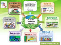 Image result for medio ambiente