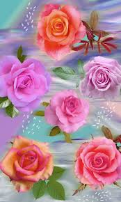 3d Roses Flower Art Rare Roses Beautiful Flowers