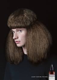 News Oh My Dog Wildwash Launch First Dog Shampoo Adverts Worst Haircut Ever Bad Haircut Bad Hair