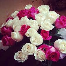 I will start listing the pictures of beautiful flowers in reverse chronological order, so that you will be curious to see, which occupied the top positions. 14 Most Beautiful Flowers In The World 2020 Round Pulse