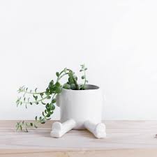 Ramasser la la plus récente images de cache pot interieursur ce site , et vous can saisir les images de ce blog pour le personnel utiliser. Cache Pot Original Artisanal Sprawl