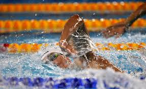 כריסטוף media in category kristóf milák. Ozbas Berecz Es Milak Szallitotta Az Ujabb Aranyermeket Utanpotlassport