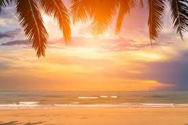 Summer Vocabulary Image