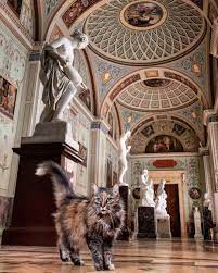 Museo Del Hermitage Gatos Guardianes Hermitage Museum Hermitage Cats
