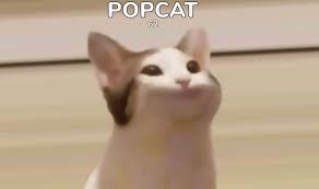 ประเทศไทยขึ้นอันดับ 1 popcat แซงหน้าประเทศไต้หวันแชมป์เก่าเรียบร้อยแล้วนะครัช ด้วยยอดคลิกรวม 1.58 หมื่นล้าน. Gfxraug4uttw3m