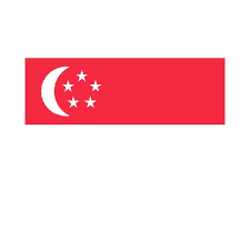 Equality and unity of people round the globe. Singapore 3x5 Flag Polyester Flag With 2 Grommets On Left