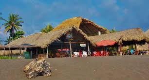 Image result for el delfin monterrico