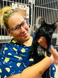 Midnight was shining bright when she found a new home! Congratulations and  thank you for adopting! 🐾🐾