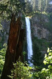 wahkeena falls columbia river basin oregon portland hikes places to visit river basin pinterest
