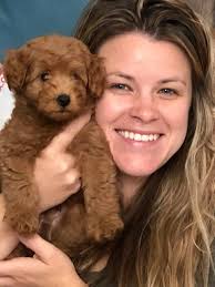 Hi, Meet Mickey, Marshall, and Maverick!!🩵🐾🩵🐾🩵🐾