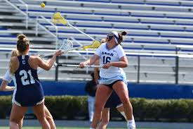 Image result for Rennera laxa