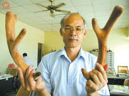 陳振坤 邱金寶 王耀弘 陳佑瑞 蔡翹鴻 陳進雄 胡俊雄 陳興發 鍾炳光 謝健成 黃中中 施維明 李元新 劉文粹 李幸娟 陳進德 黃伯雄 邱瑞金. é‡'é–€æ—¥å ±å…¨çƒè³‡è¨Šç¶² åœ°æ–¹æ–°èž