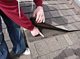 5.0 (5) true professionals in the remodeling industry. Lion Roofing Company Chicagoland Roofing Contractors Roof Repair Chicagoland