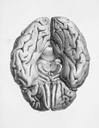 How to Get Over an Ex by Correcting Our Misfiring Brains - The School of  Life