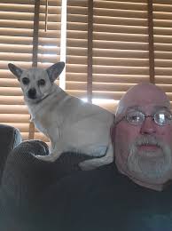 She thinks she's a Chihuahua and not a Golden Retriever.