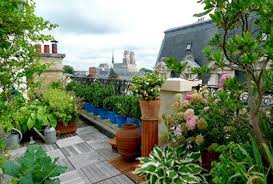 Pose de compteurs d'eau, remise à neuf des ascenseurs, chaufferie, groupe électrogène, ravalement des façades. Jardin Terrasse Cour Des Parties Communes A Cout Partage