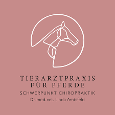 Tierarztpraxis für Pferde Schwerpunkt Chiropraktik Dr. Linda Amtsfeld