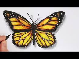 If you are using a pencil for your drawing, don't apply too much pressure for the first three steps since these lines are not final and most likely be corrected later. How To Draw A Realistic Butterfly Time Lapse Youtube