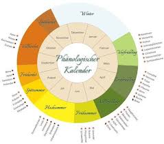 Phanologischer Kalender Gartenkalender Kalender Pflanzkalender