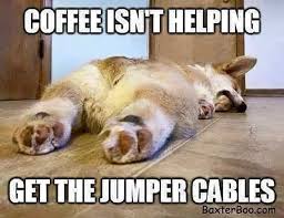 Funny Good Morning Memes Thrifty Nifty Mommy