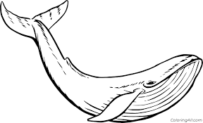 Writers and poets have described sea as a deep blue sea or a vast sea. Realistic Blue Whale Swimming Coloring Page Coloringall