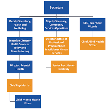 Child And Youth Mental Health Victorian Auditor Generals