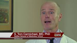 AIDS Drug Accelerates Stroke Recovery