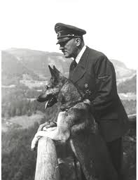Fotografin Ataturk U Bir Kurt Kopegiyle Yan Yana Gosterdigi Iddiasi