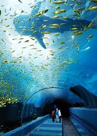31 Aquariums From Wow To Wtf Pics Webecoist Places To Travel Georgia Aquarium Aquarium