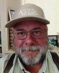 Texas A&M AgriLife Sets Second Cotton Contamination Webinar for May 5