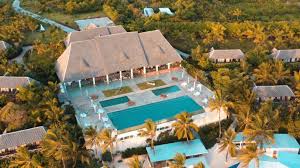 Image result for Melia