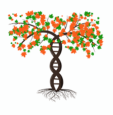 If your mother will actually look you in the eye and tell you exactly what she wants get expert shopping advice delivered to your phone. 45 Best Diy Gifts For Mom Handmade Gift Ideas For Mothers