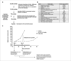 a flow chart showing the discovery of a vegfr 2 gene