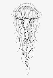 Jelly Fish Drawing At Getdrawings Moon Jelly Transparent Png Download Line Art Drawings Jellyfish Art Doodle Art Designs
