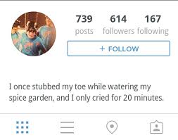 What, you egg?&quot; — Probably the best Instagram bio ever? via Relatably.com