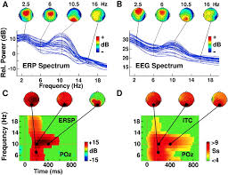 Brain test level 295 which way leads to the exit? Dynamic Brain Sources Of Visual Evoked Responses Science