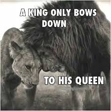 They move with purpose, aware that the survival of their pride depends on their legacy of skill and strength. Lionqueen Quotes Tumblr King And Queen Quotes Tumblr Via Relatably Com Lioness Quotes Dogtrainingobedienceschool Com
