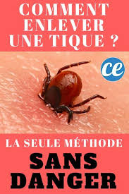 La Seule Et Unique Facon D Enlever Une Tique Sans Risque Pour Votre Sante Les Tiques Enlever Une Tique Tiques