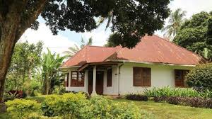 Rp 348.000.000 tanah kavling kebun grand andalu dijual dekat dengan jakarta & bekasi. Menginap Di Rumah Tua Belanda Di Tengah Perkebunan Teh Lumajang Halaman All Warta Kota