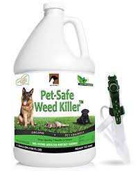 Price and stock could change after publish date, and we may pulling weeds by hand is always the most reliable solution, but i accept that there are times when herbicides may be the practical choice. Top 13 Best Pet Safe Weed Killers Reviewed 2021