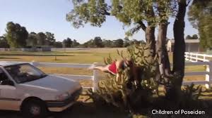 Occurred on january 31, 2019 / arizona, usa info from licensor: Man Jumps Straight Into Cactus On Make A Gif
