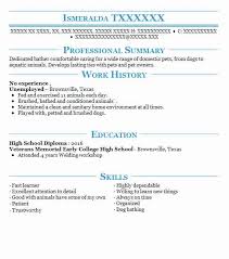 How to write cv with no experience. Resume No Experience Skills