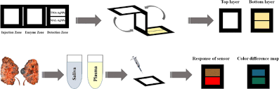 As it is also released by engines exhausted gases (incomplete gasoline combustion), it is partially responsible for atmospheric pollution in big cities and. A Paper Based Device For The Colorimetric Determination Of Ammonia And Carbon Dioxide Using Thiomalic Acid And Maltol Functionalized Silver Nanoparticles Application To The Enzymatic Determination Of Urea In Saliva And Blood