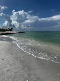 Image result for Sandy Beach 2013 Captiva