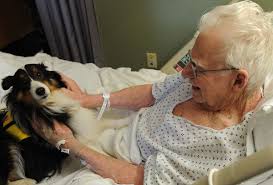 Easy to spell and write. Nursing Home Wikipedia